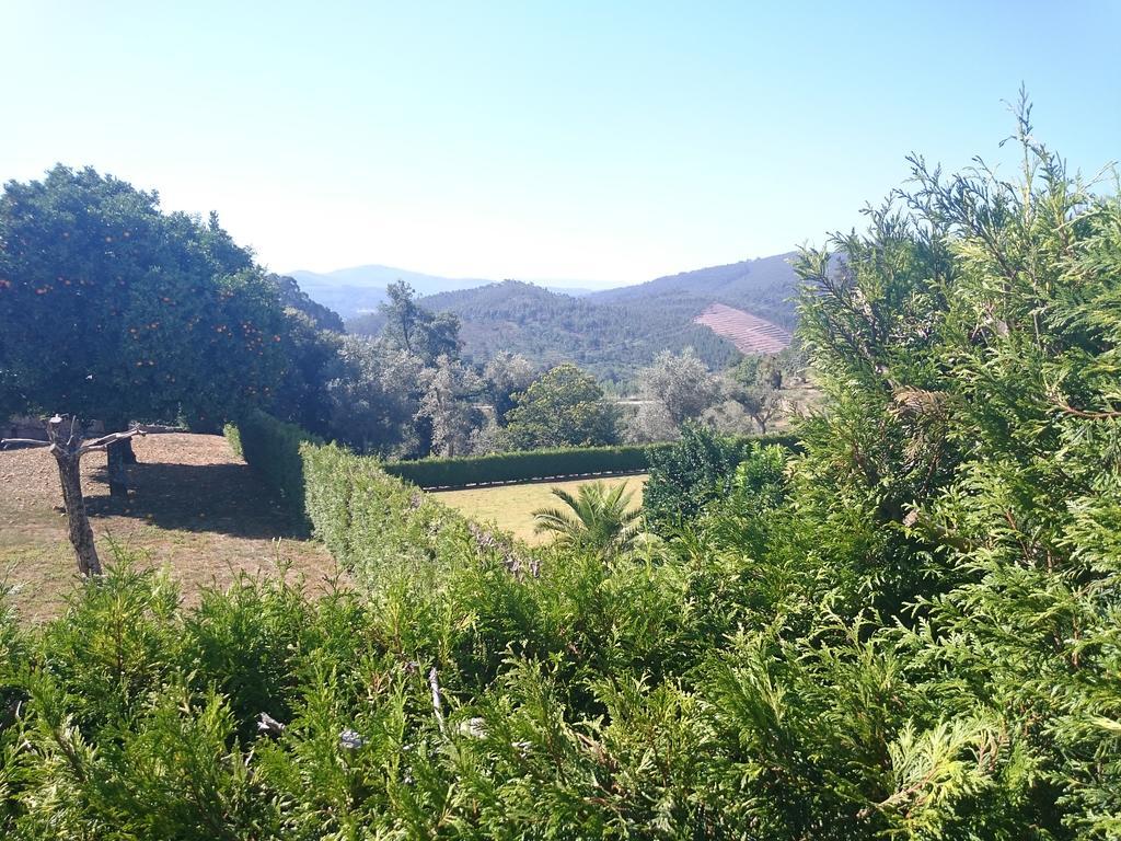Solar Guesthouse Olival Da Vinha Castelo de Paiva Extérieur photo